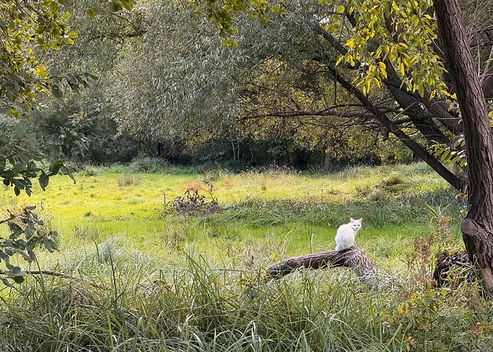 Lägenhet An Der Postsaeule Lübbenau